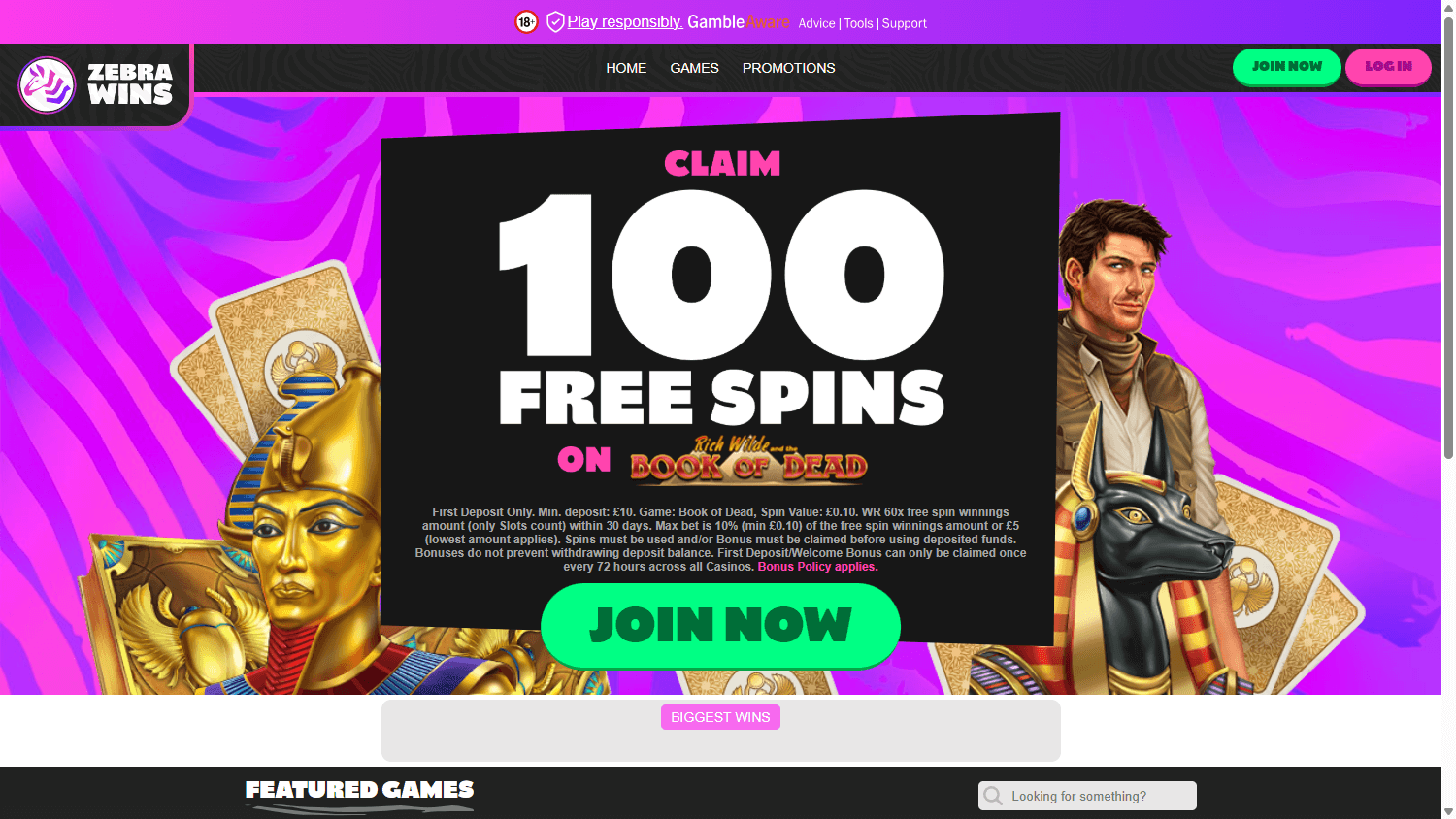 Zebra Wins Casino Desktop screenshot